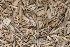 biomass boilers Lumbutts